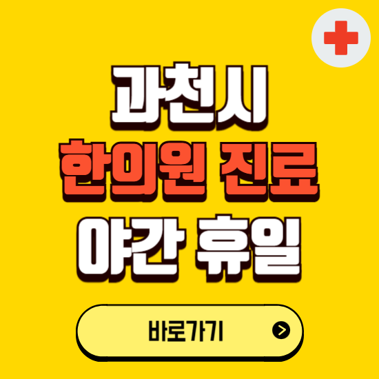 과천시 야간 휴일 한의원 한방병원 찾기 ❘ 24시 일요일 주말 연휴 응급진료 추천 잘하는 곳