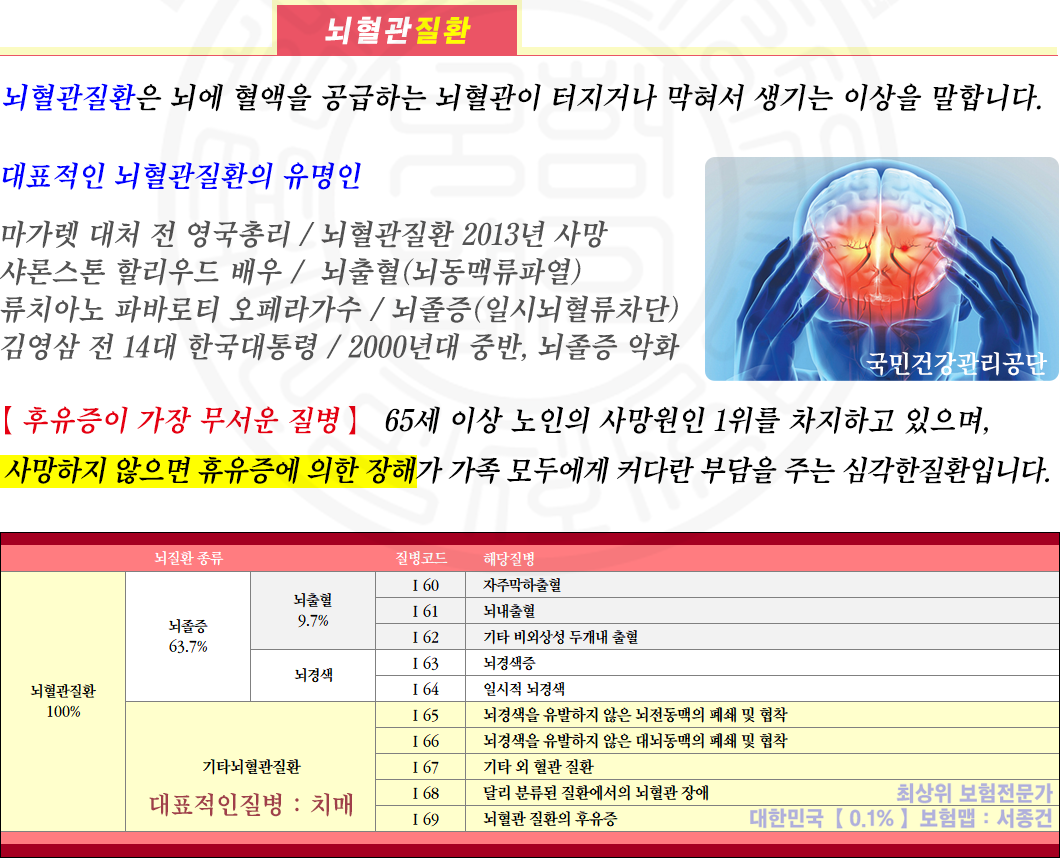 뇌혈관질환보험상세