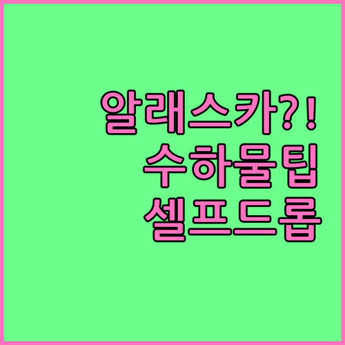 알래스카 항공 수하물 있을 때 온라인..