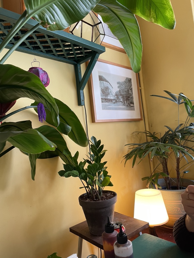 메콩싸롱 2층 화분 그림