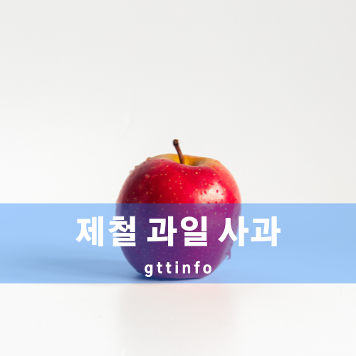 사과의 효능