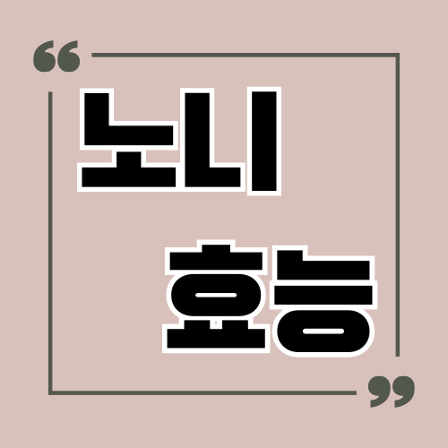노니 효능