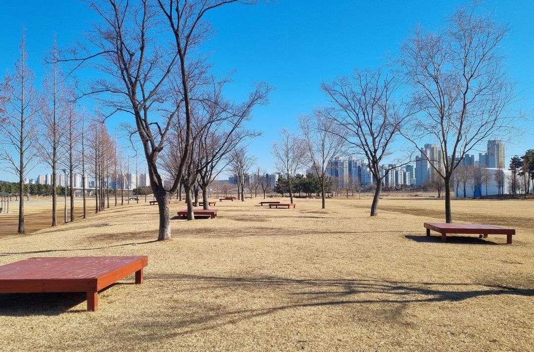 송도달빛축제공원