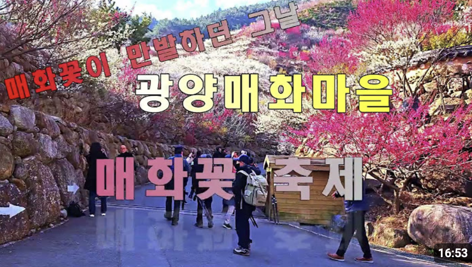 광양매화마을축제숙소