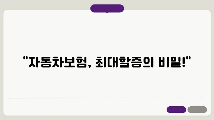 자동차보험 최대할증