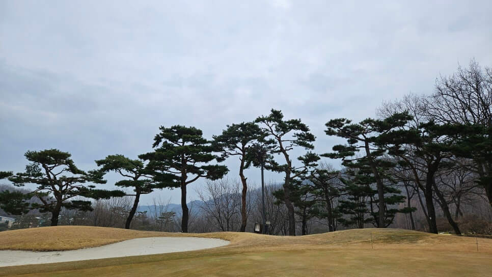 골프장 경험담 용인 글렌로스cc 공작새와 같이 하는 골프장 삼성이 만들고 에버랜드가 관리하는 명품