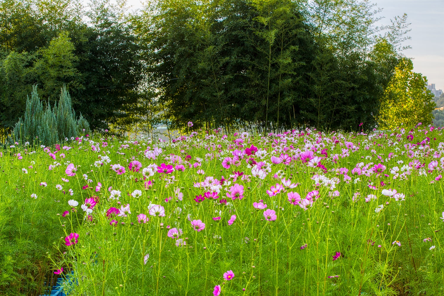 구리 한강공원- 21