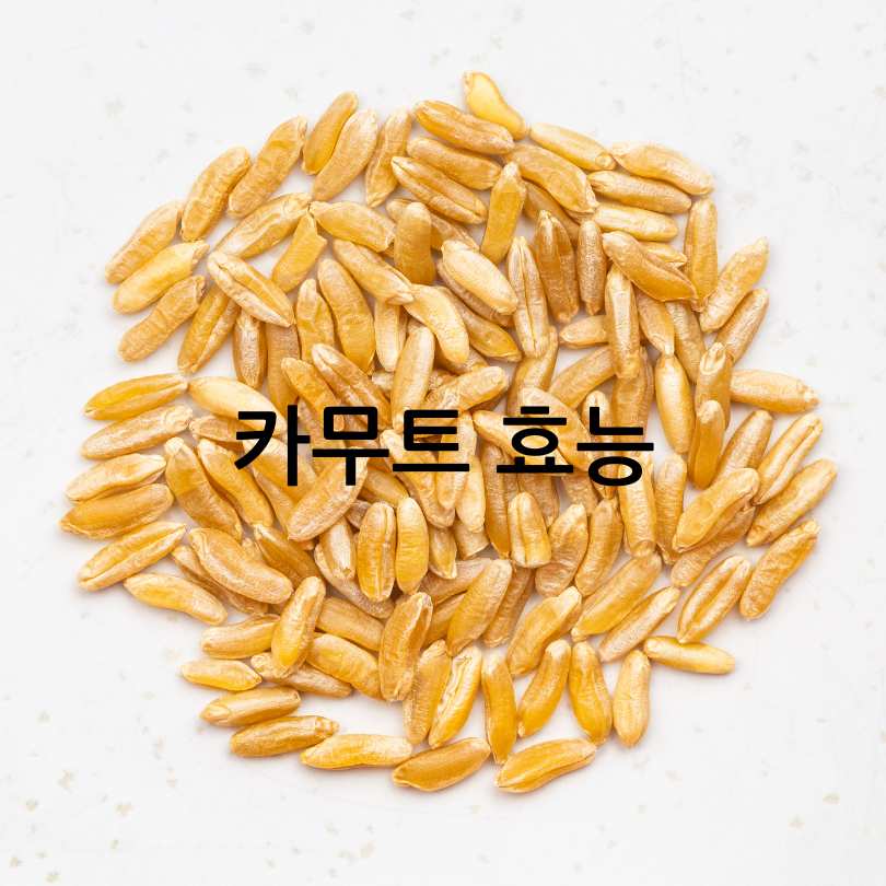 카무트와 카무트 효소 비교