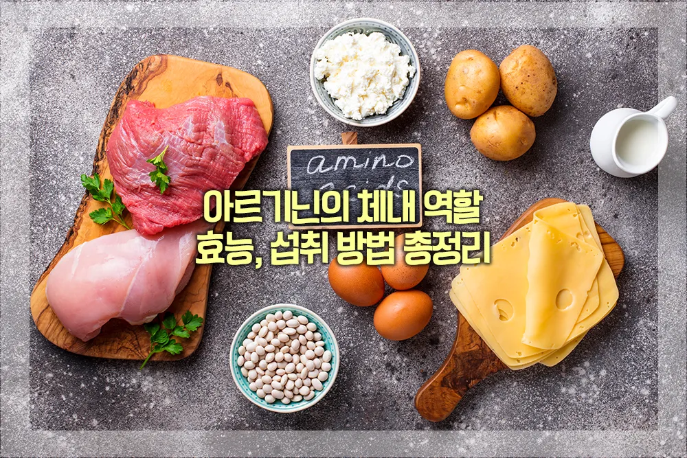 아르기닌의 체내 역할