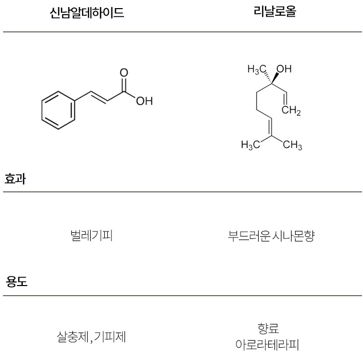 빈대 퇴치제(빈대 살충제) 순위 및 추천 TOP 5(23.11.28.)