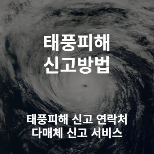 태풍피해_신고방법