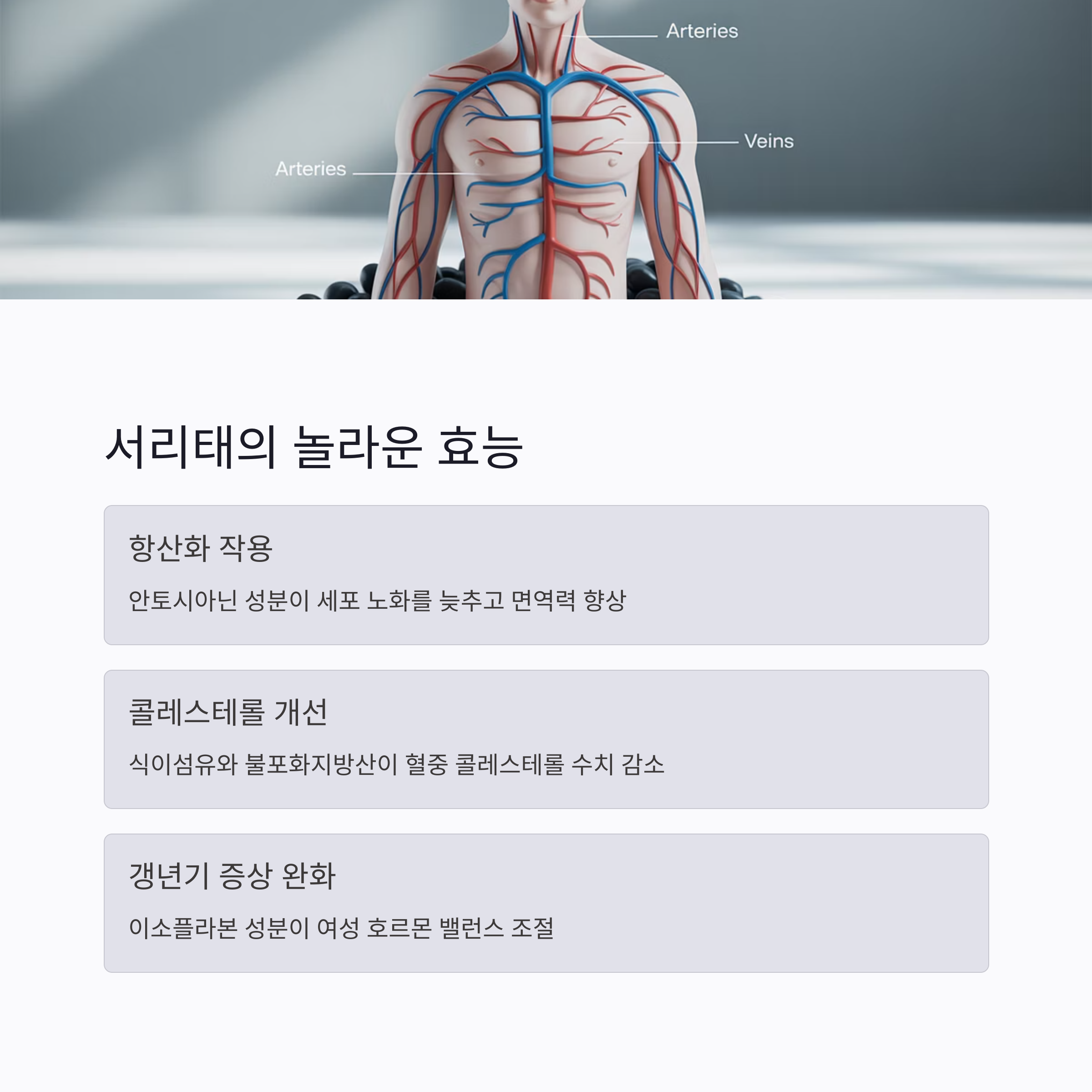 서리태-놀라운-효능