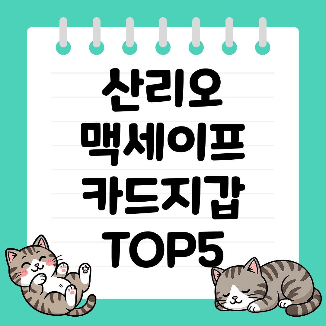 아이폰 유저 필수템, 산리오 맥세이프 카드지갑 추천 순위 TOP5