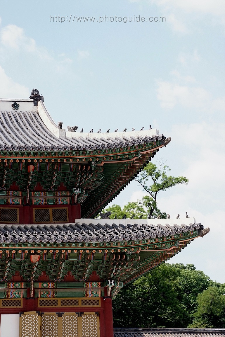 창덕궁 Changdeokgung Palace