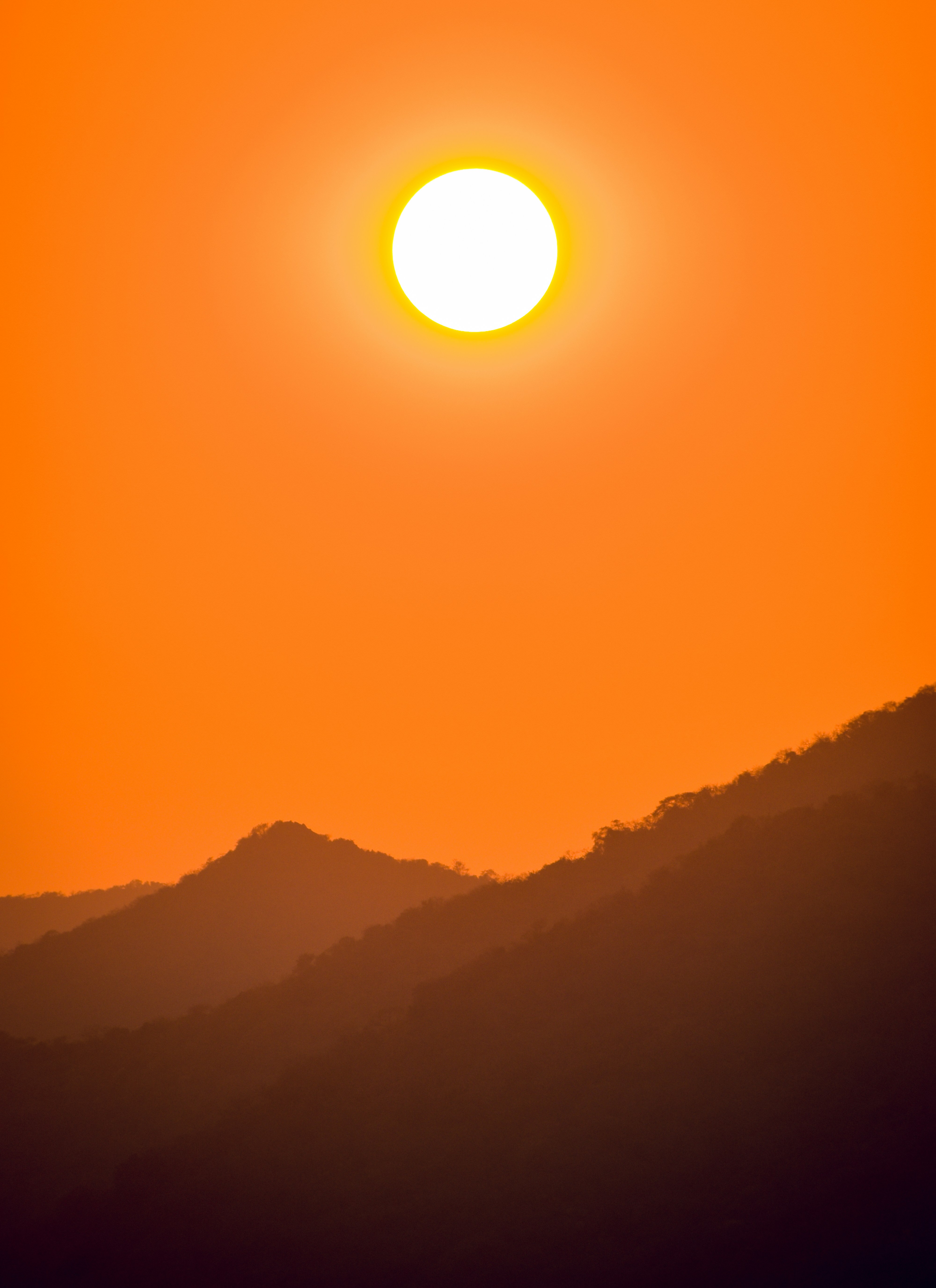 열사병