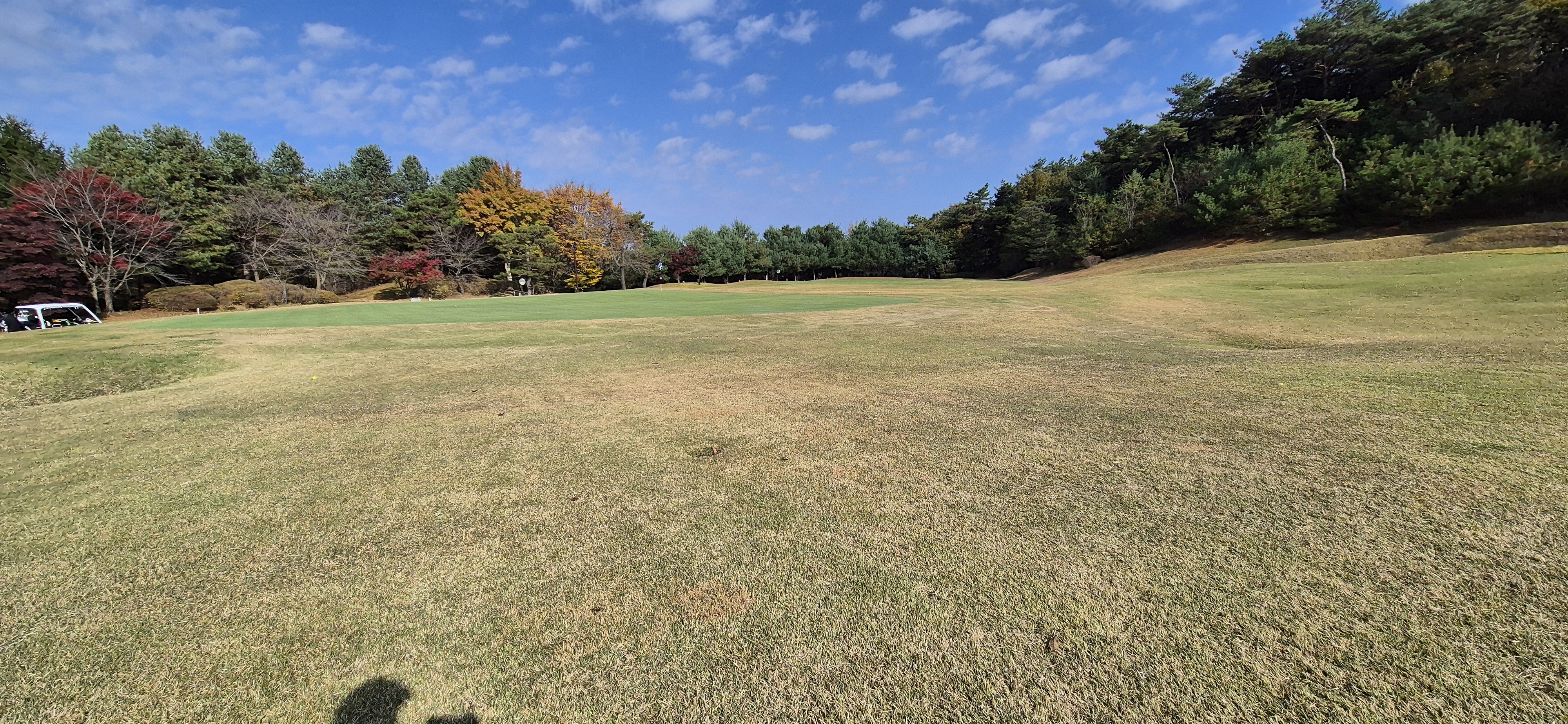 시그너스cc 실크코스 사진 및 공략 정보