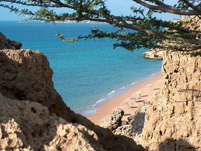 지부작족 뜻 유래 의미 어리석음 고사성어_4