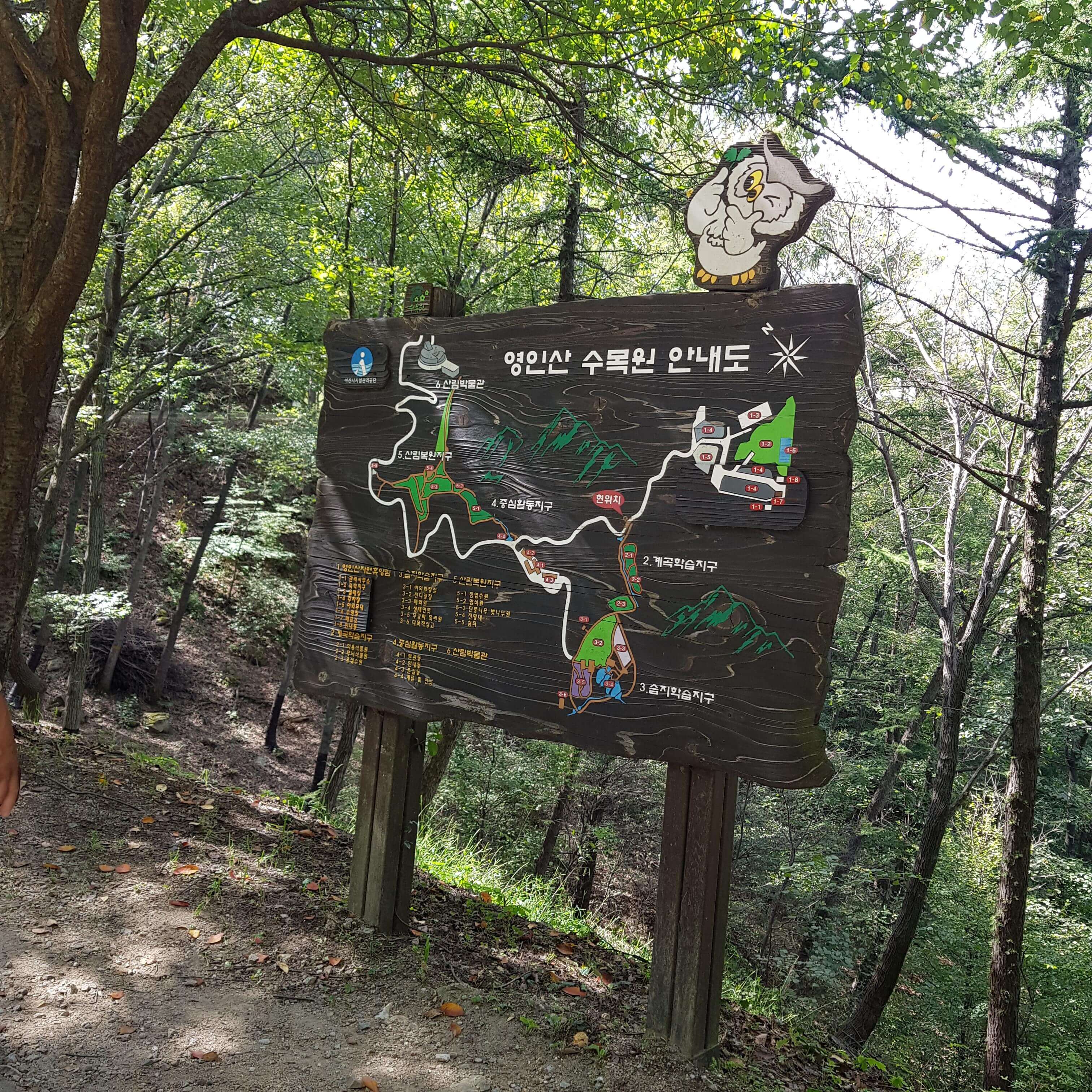 영인산 수목원 자연학습장