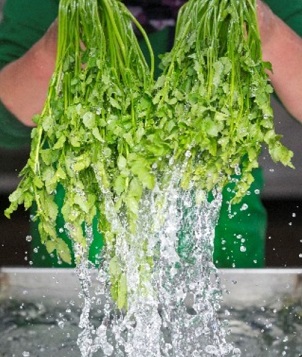 6시내고향-청도-한재미나리-민가네한재미나리