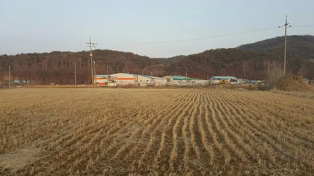 포천 백운계곡 물놀이 명소 카페 청운쉼터 리뷰 안내_4