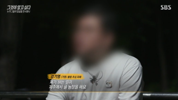 강기영의 추적, 배 씨의 실체