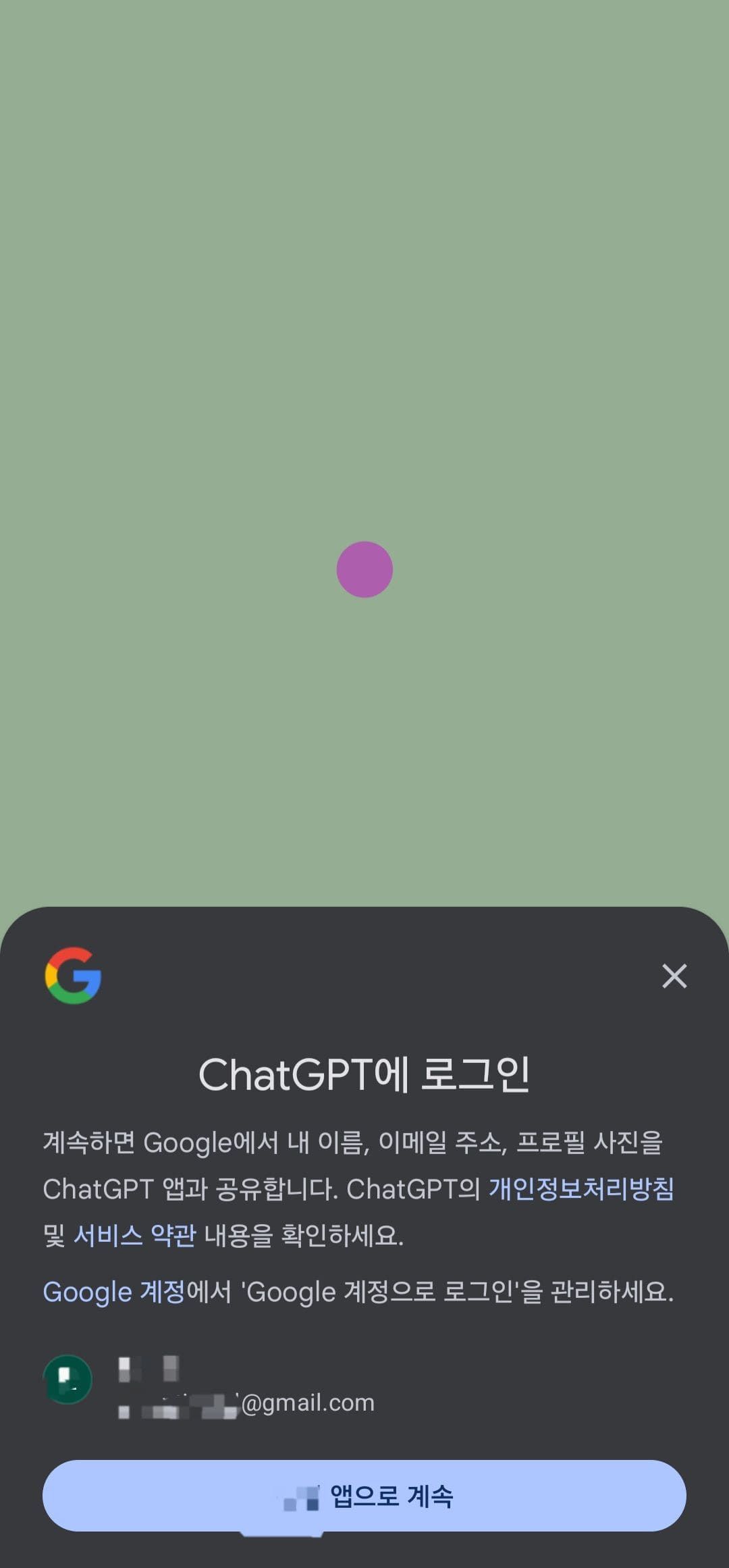 chatgpt 설치