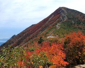 단풍시기(예상·절정)_1