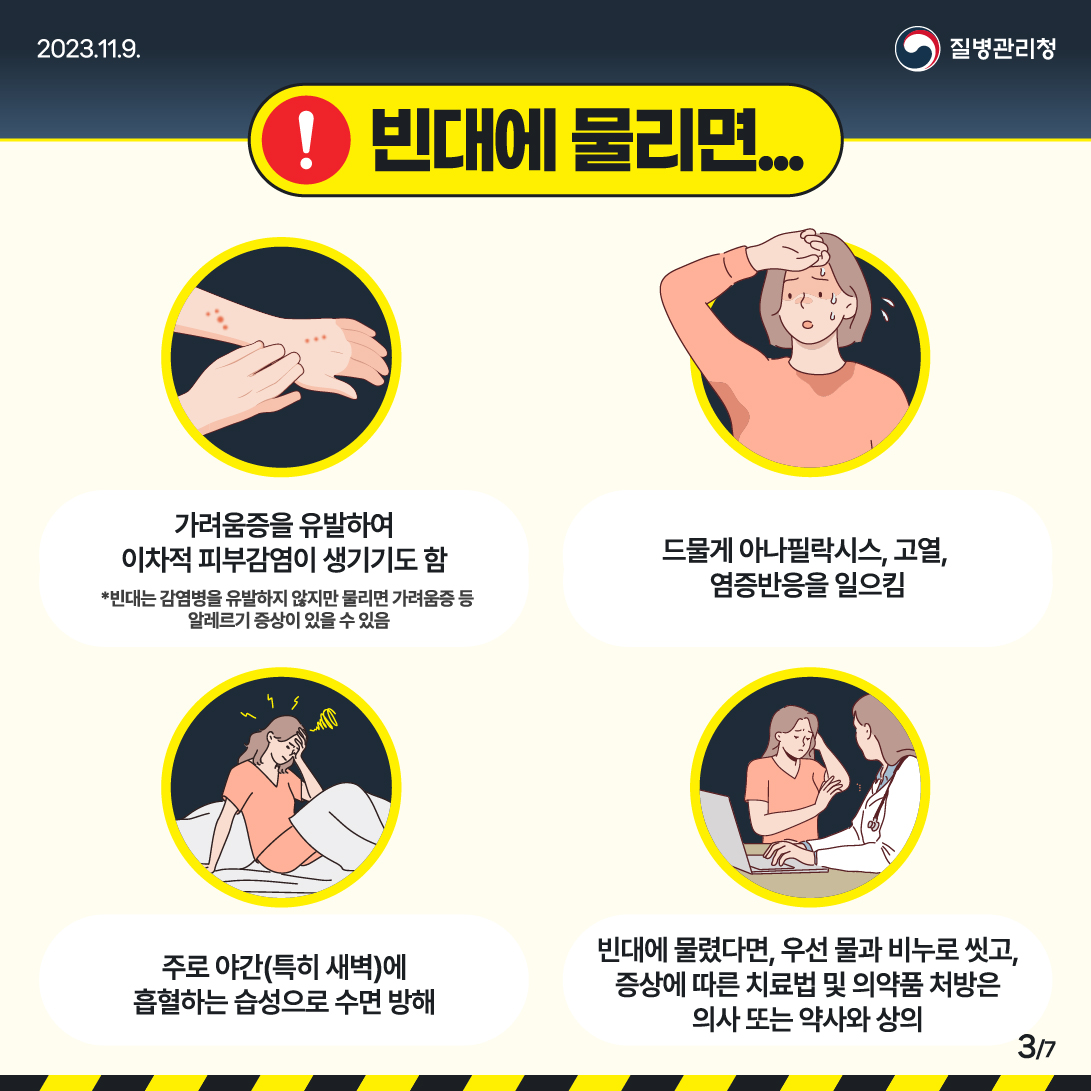 빈대에게-물리면