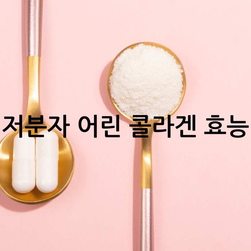 저분자 어린 콜라겐