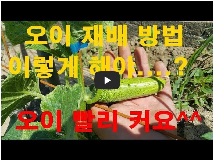 농부 유튜버 순위 TOP 10 3