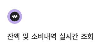 퍼핀카드(초등학생 체크카드)