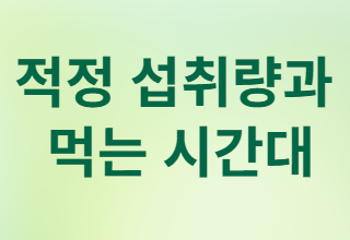 적정 섭취량과 먹는 시간대
