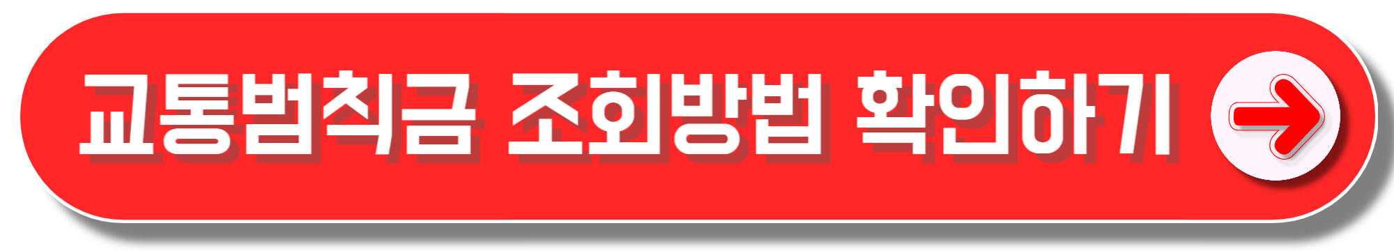 교통범칙금 미납, 그리고 범칙금과 과태료 차이