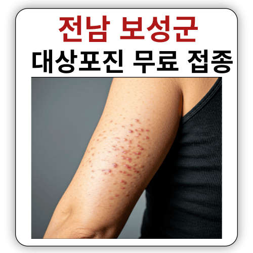 전라남도 - 보성군 대상포진