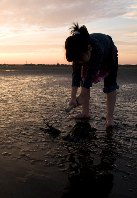 고창 해풍고추축제