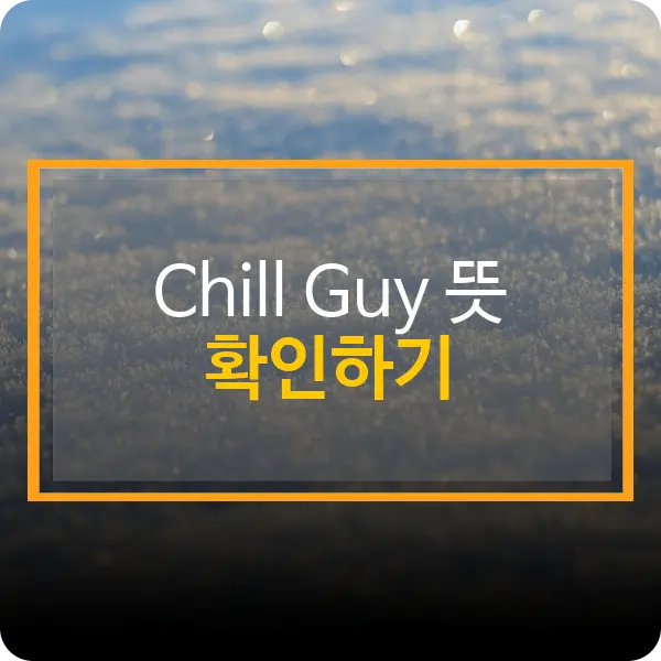 Chill Guy 뜻