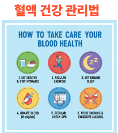 혈액 건강 관리법