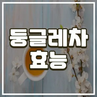둥글레차 효과 건강에 좋은 차 효능 정리_11