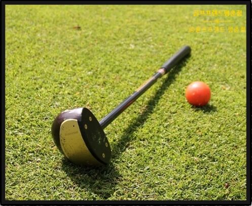 썸네일-파크골프채-가로사진