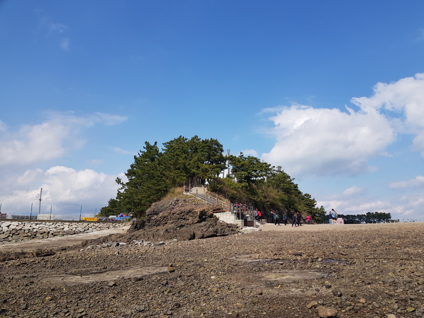 2026 해랑 열차 예약방법.코스.비용 총정리