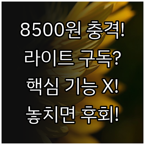 유튜브 라이트 8500원 구독 시 놓..