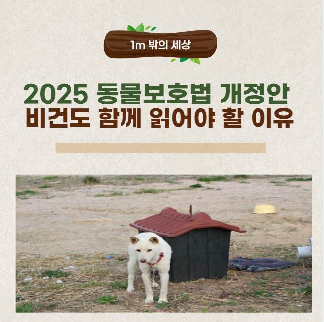 2025 동물보호법 개정안: 비건도 함께 읽어야 할 이유