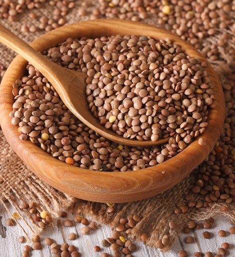 차전자피 효능 부작용