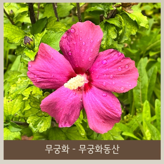 화담숲 화담채 예약 관련 이미지