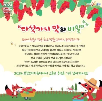 문경 오미자축제 2025 다섯 가지 맛으로 만나는 가을 정리_13