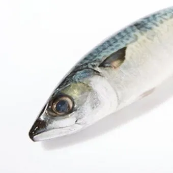 고등어 굽는 방법 비린내 잡기 레시피_13