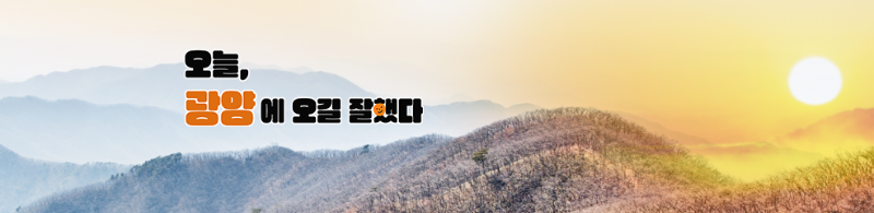 κ΄μλ§€νμΆμ 