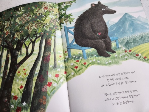 책을 읽는 곰