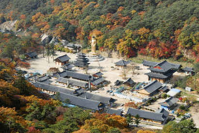 [명품숲길 50선 가을단풍 산행 ⑦] 충북 보은 속리산둘레길 : 말티재&middot;법주사 단풍과 정이품송이 어우러진 가을 명품길