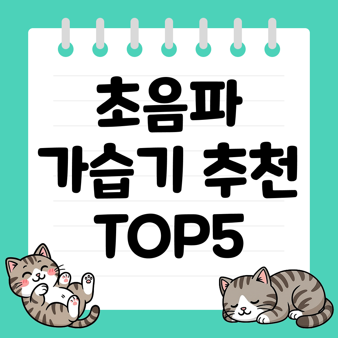 건조한 사무실 공기를 바꿔줄 초음파 가습기 TOP5